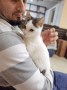 Florina (3)7